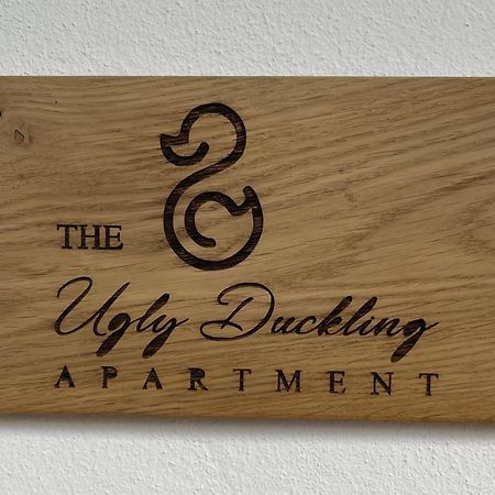 The Ugly Duckling Apartment Dormelletto Dış mekan fotoğraf